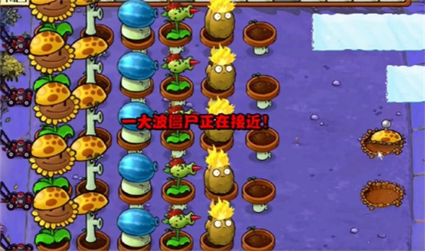 植物大战僵尸杂交版2.1更新版