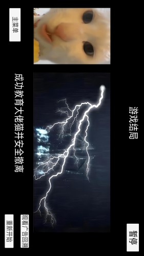 猫meme搞怪冒险