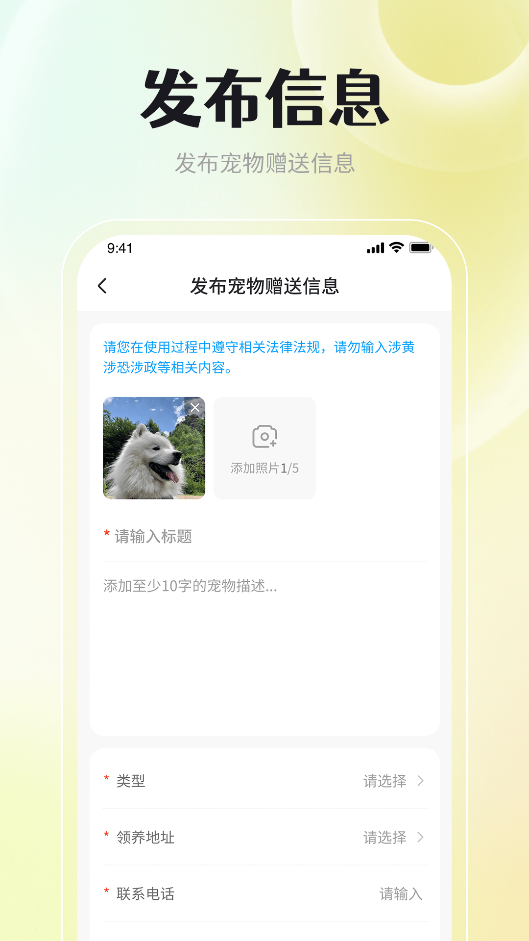 宠物领养互助截图1