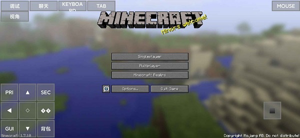 minecraftjava版截图4