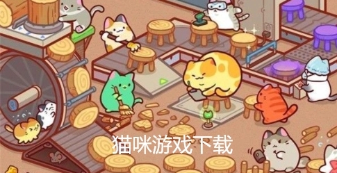 猫咪游戏大全