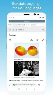 kiwi浏览器官方版截图2