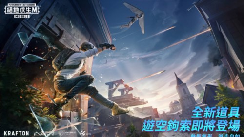 和平精英国际服pubg截图2