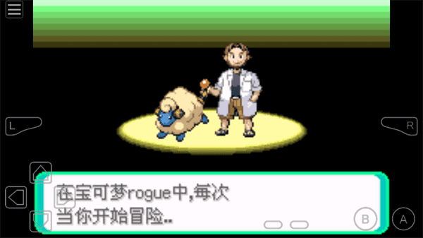 宝可梦rouge汉化版