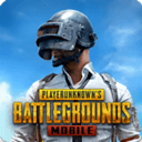 pubg国际服地铁逃生正版