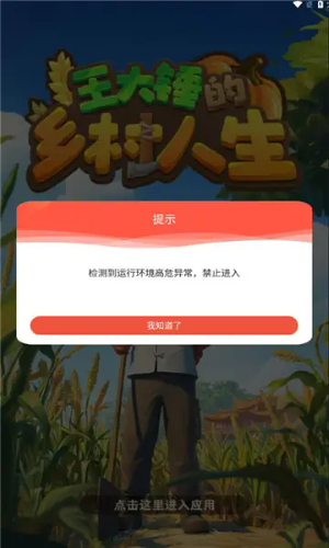 王大锤的乡村人生截图2