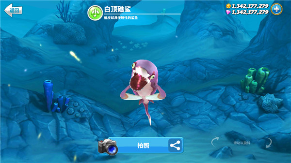 HungrySharkworld国际版截图1