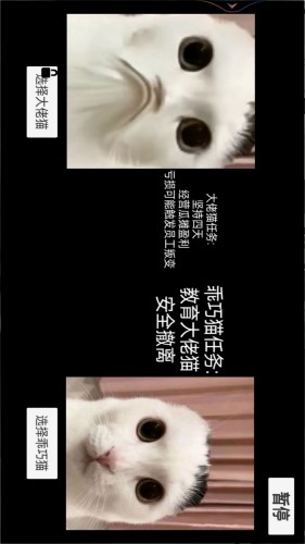 猫meme搞怪冒险截图1