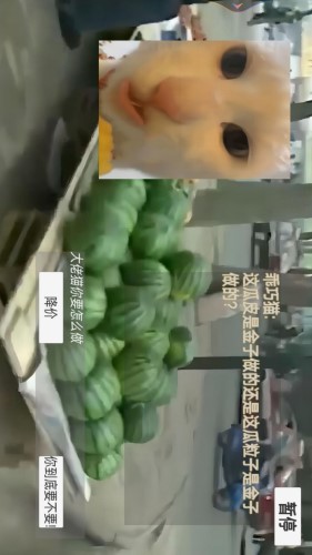 猫meme搞怪冒险截图2