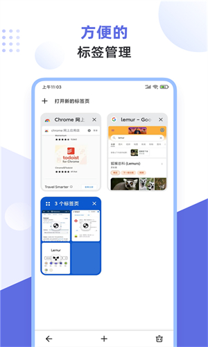 狐猴浏览器app截图2