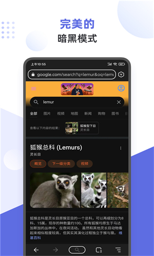 狐猴浏览器app截图3