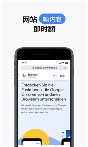 chrome浏览器截图4